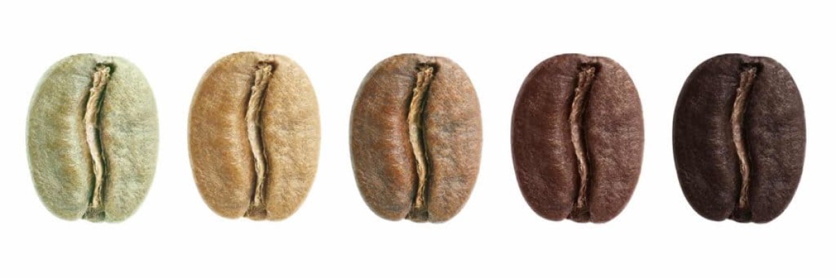 Café Moka — construction et palette